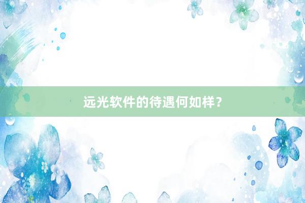 远光软件的待遇何如样？