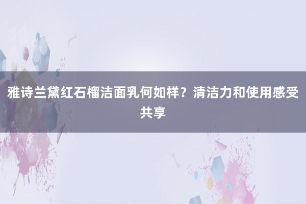 雅诗兰黛红石榴洁面乳何如样？清洁力和使用感受共享